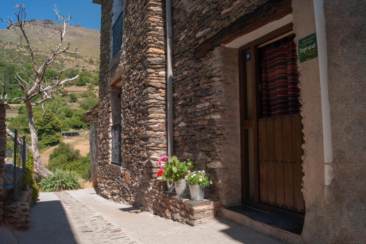 Casa-huerto La Juana Holiday home *