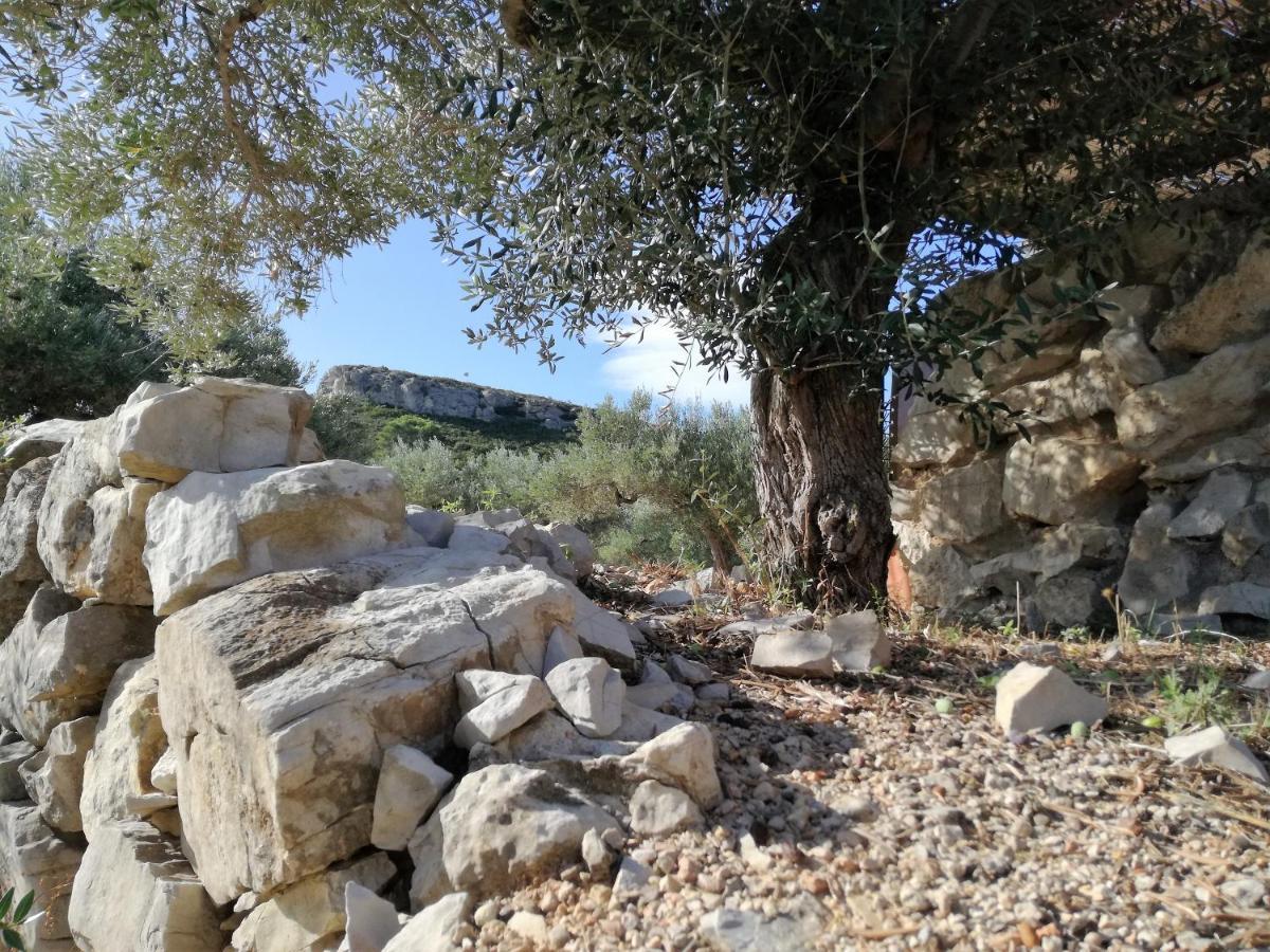Casa Roca Holiday home