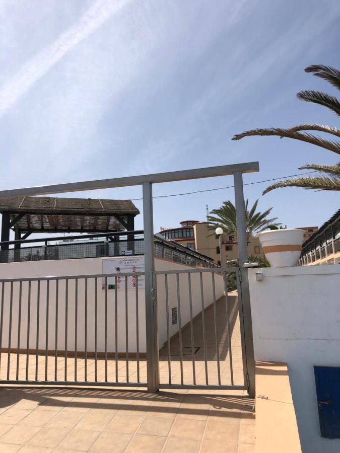 Apartamento La Tortuga Complex Amaya Fuerteventura