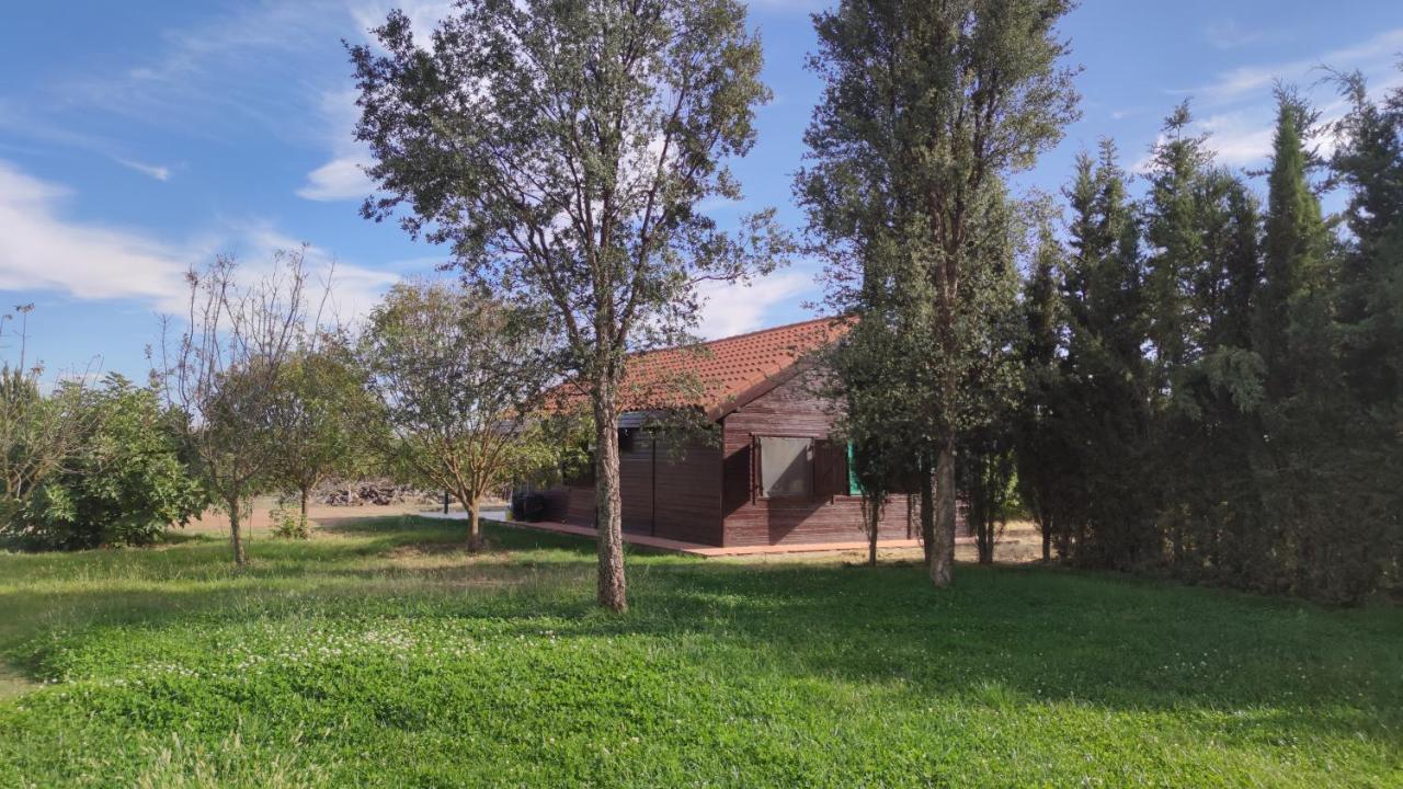 Tabla Honda El Robledo (Ciudad Real)
