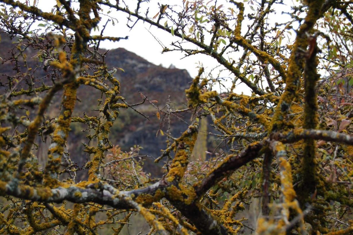 Un Rincón Especial En Vall De Boi * Pla de l'Ermita