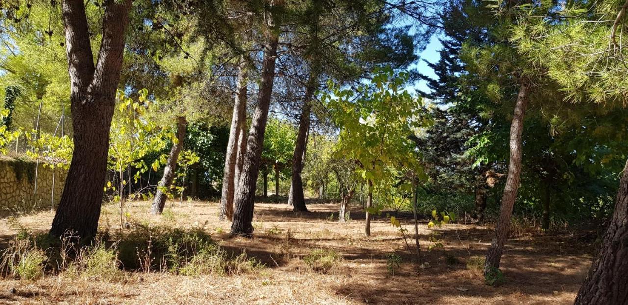 Chalet El Molí - Penáguila *