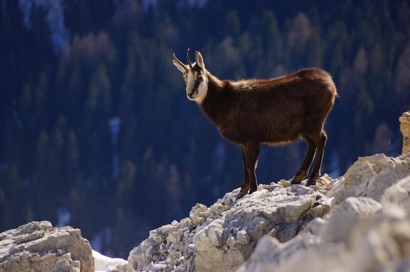 Un Rincón Especial En Vall De Boi Apartamento Pla de l'Ermita