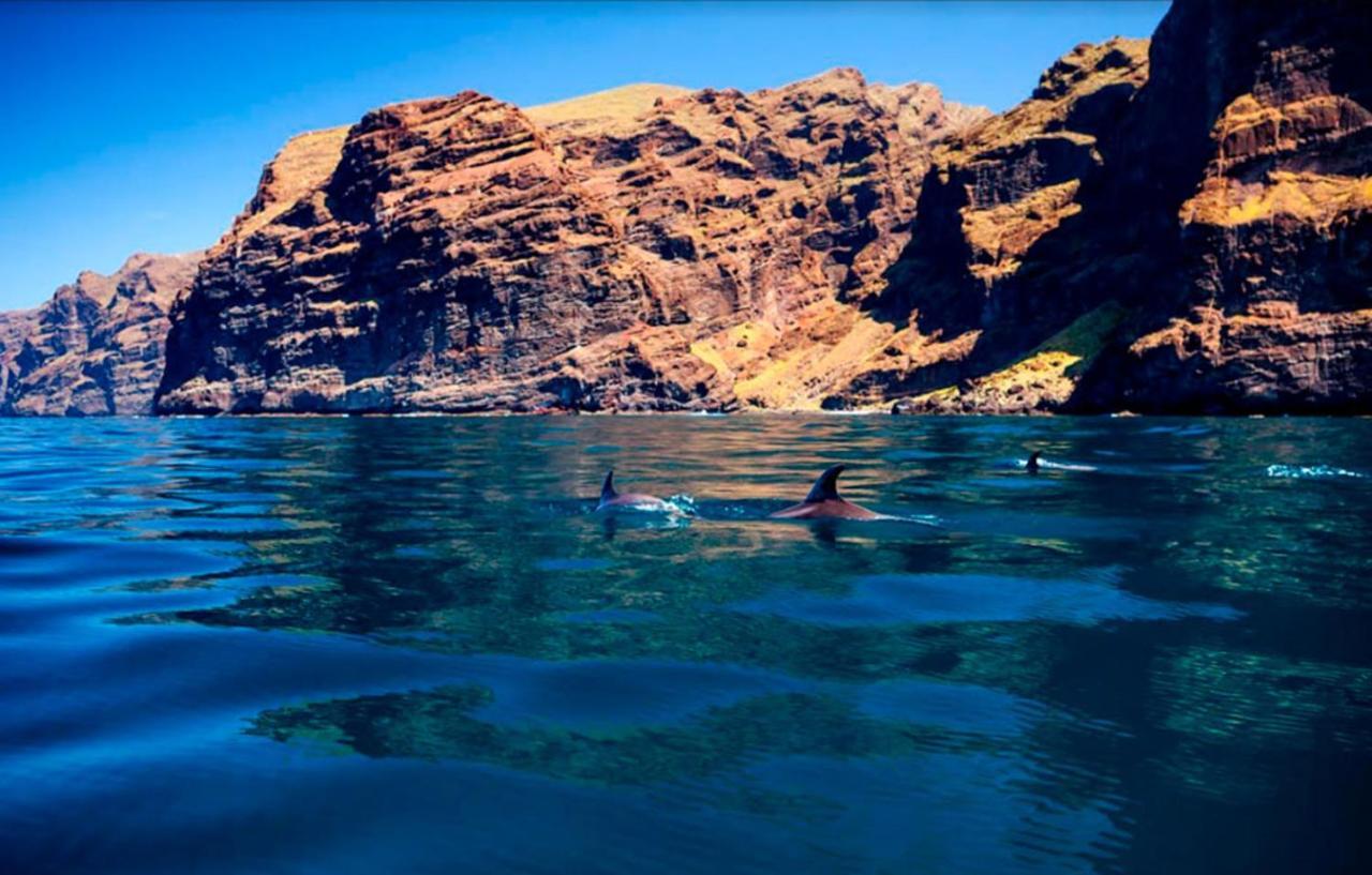 Bright And Quiet With Ocean View * Costa Adeje (Tenerife)