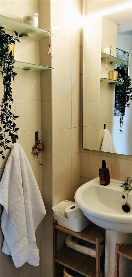 Lavanda Con Piscina *