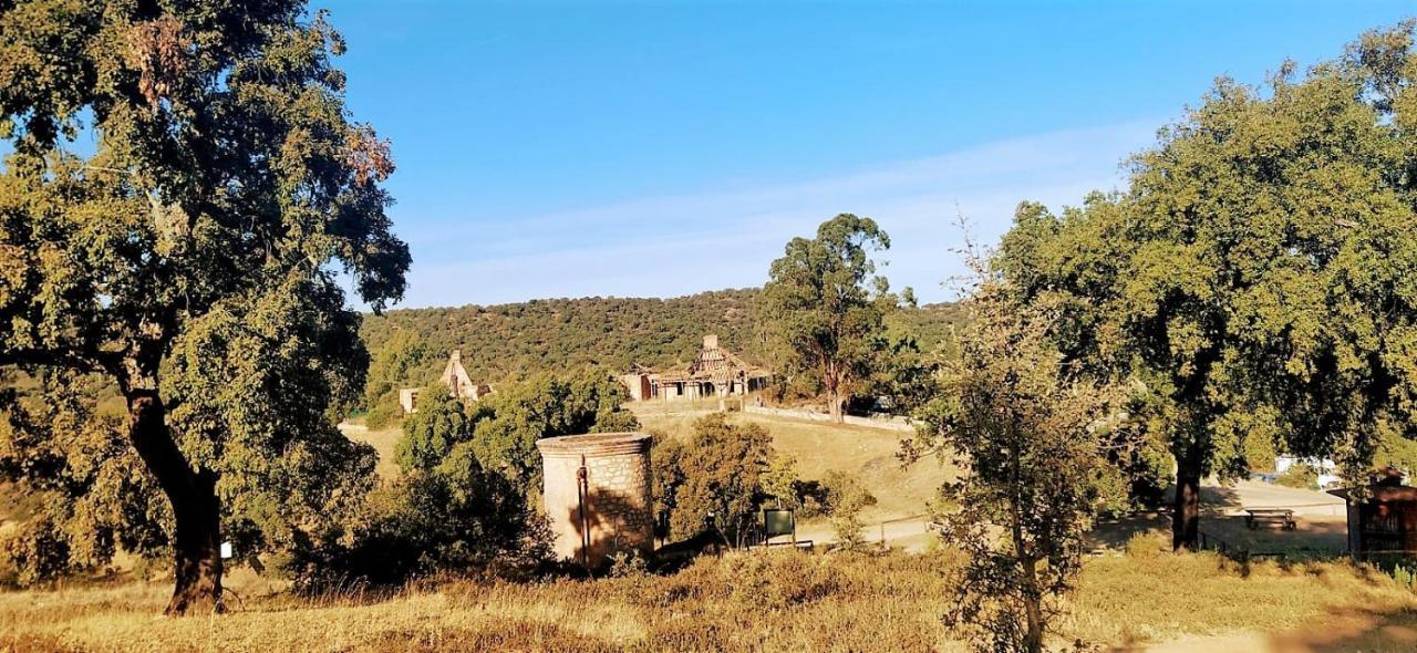 Holiday home Lavanda Con Piscina San Nicolas del Puerto