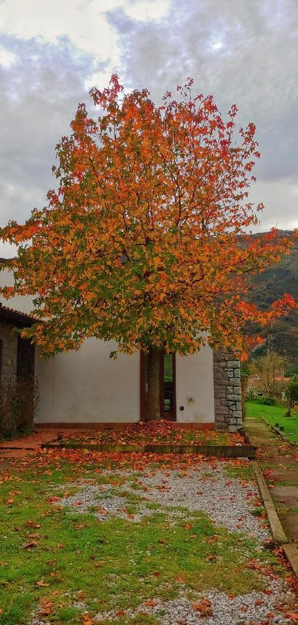 La Calma De Chalet *