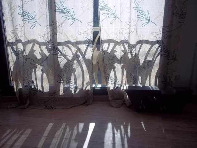 Holiday home Casa Con Arte En El Pirineo