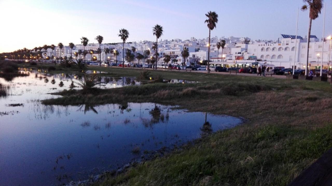 Hermoso En Conil Conil De La Frontera