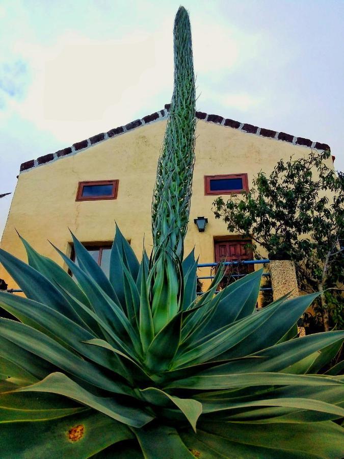 Casa Tara Ii *