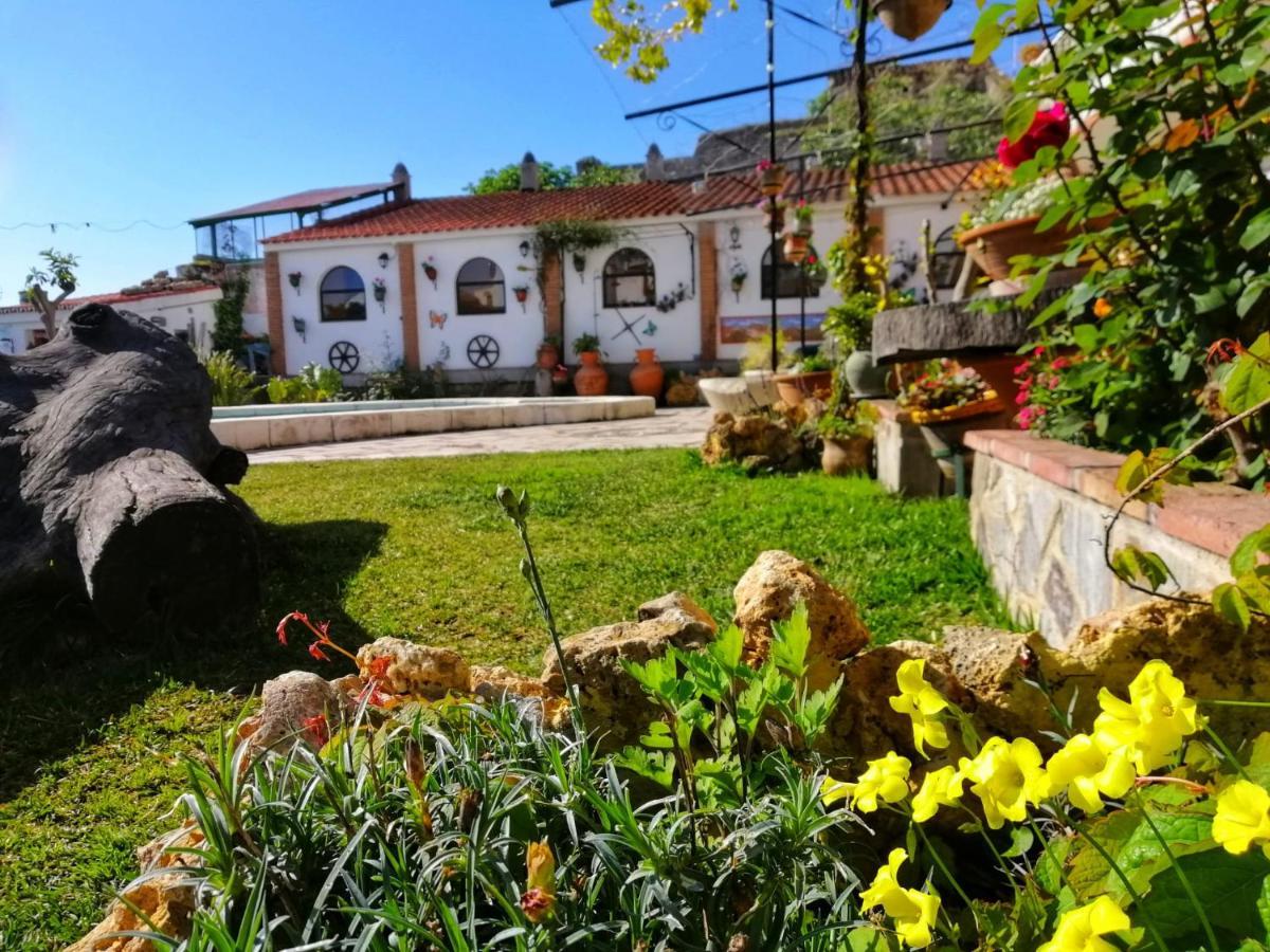 Bed & Breakfast Casa Proyecto Pepe Bravo - Arte De Manos Y Corazon Alozaina