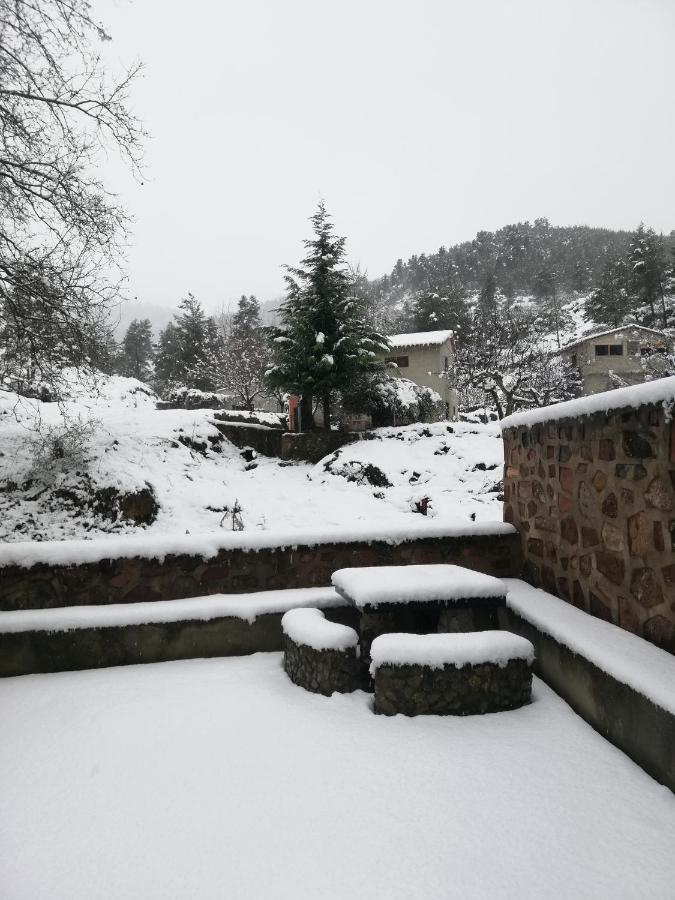 Holiday home Pineros Montan
