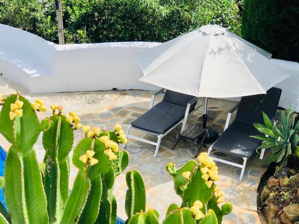 La Careza De - Adults Only Mijas