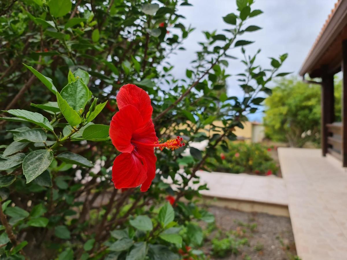 Holiday home Cumbrecita *