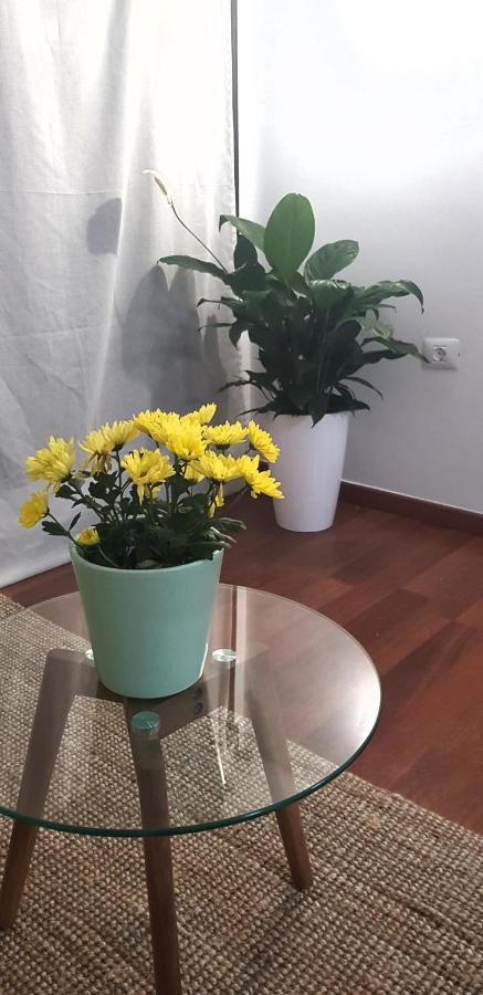 Apartamento El Rincón De Mi Niña *