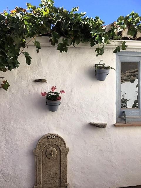 La Casa De Chabeli *