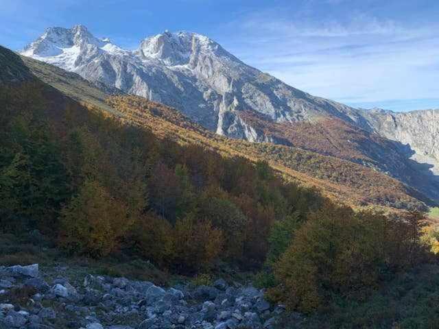Cumbres De Picos Buhos * Poo (Cabrales)