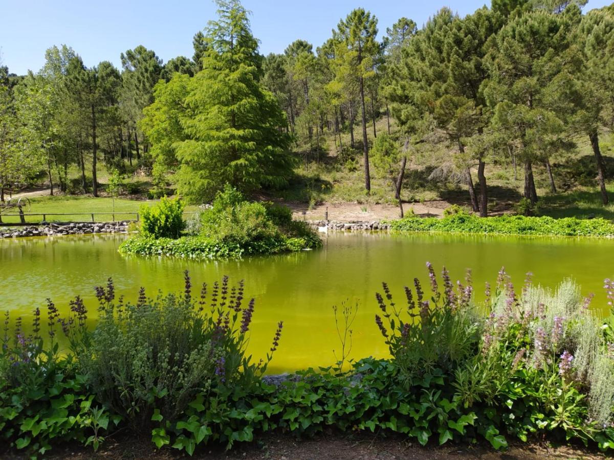 En Pleno Parque Natural Del Río Mundo