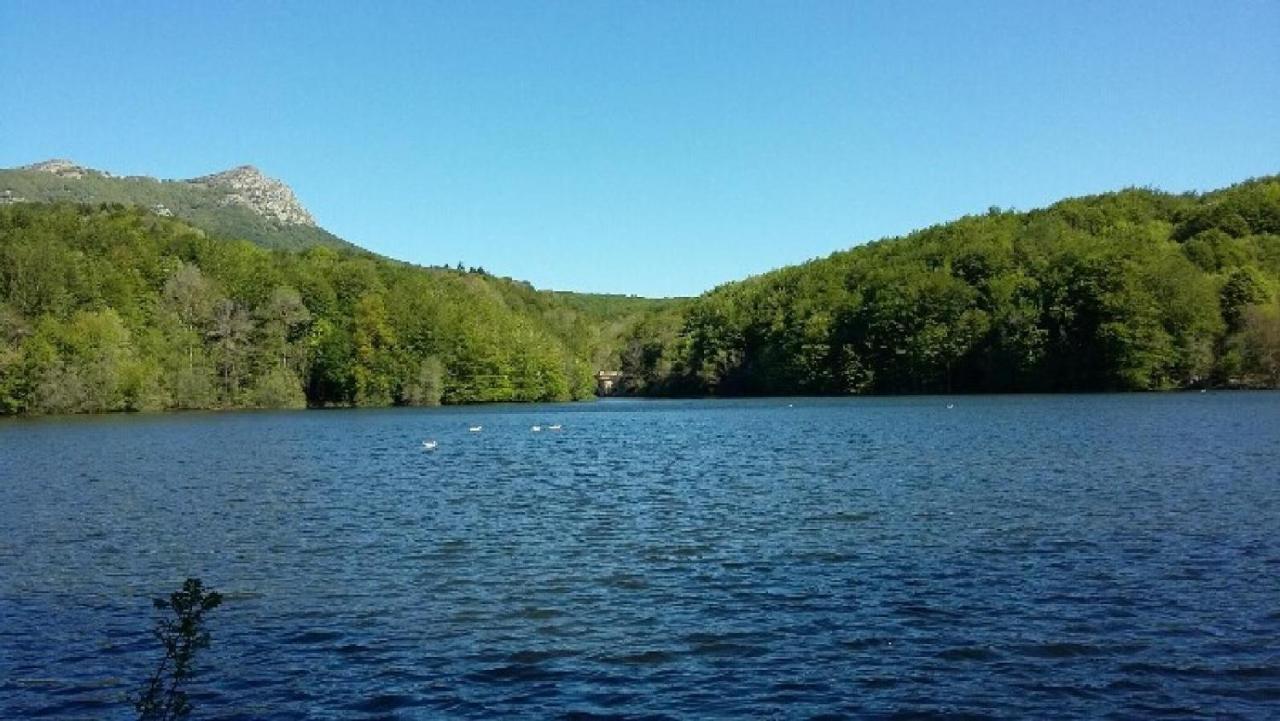 La Pineda De Can Marlet Chalet