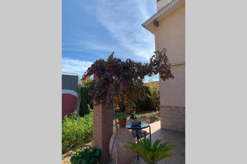 Holiday home Padul Granada