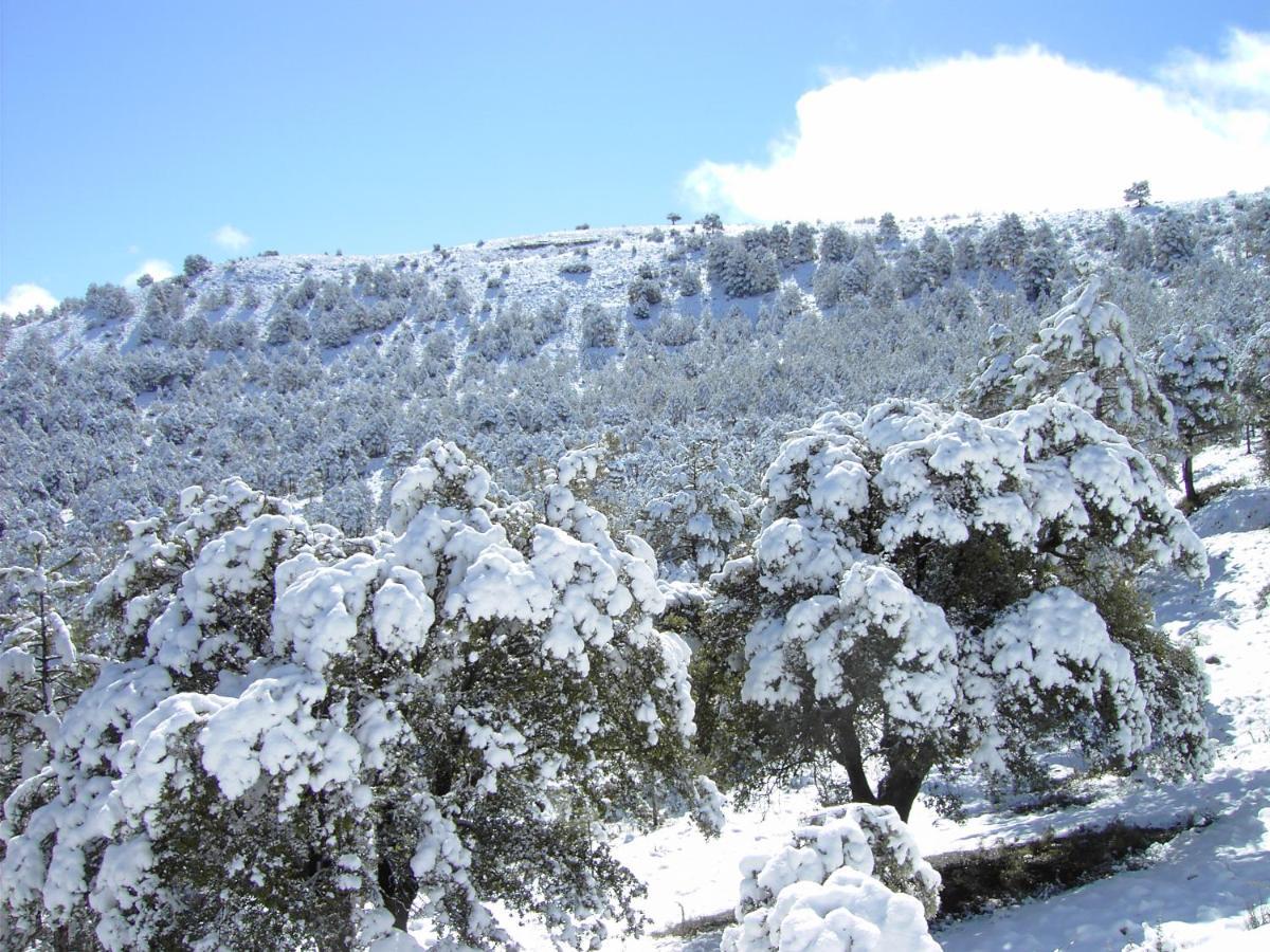 Country house Caserio - Montana, Chimenea, Nieve, Barbacoa *