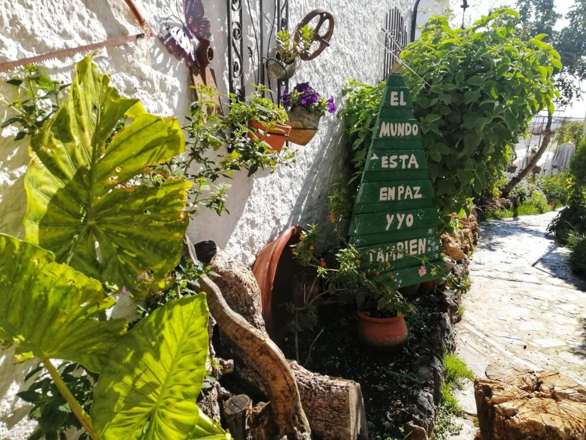 Casa Proyecto Pepe Bravo - Arte De Manos Y Corazon Bed & Breakfast *