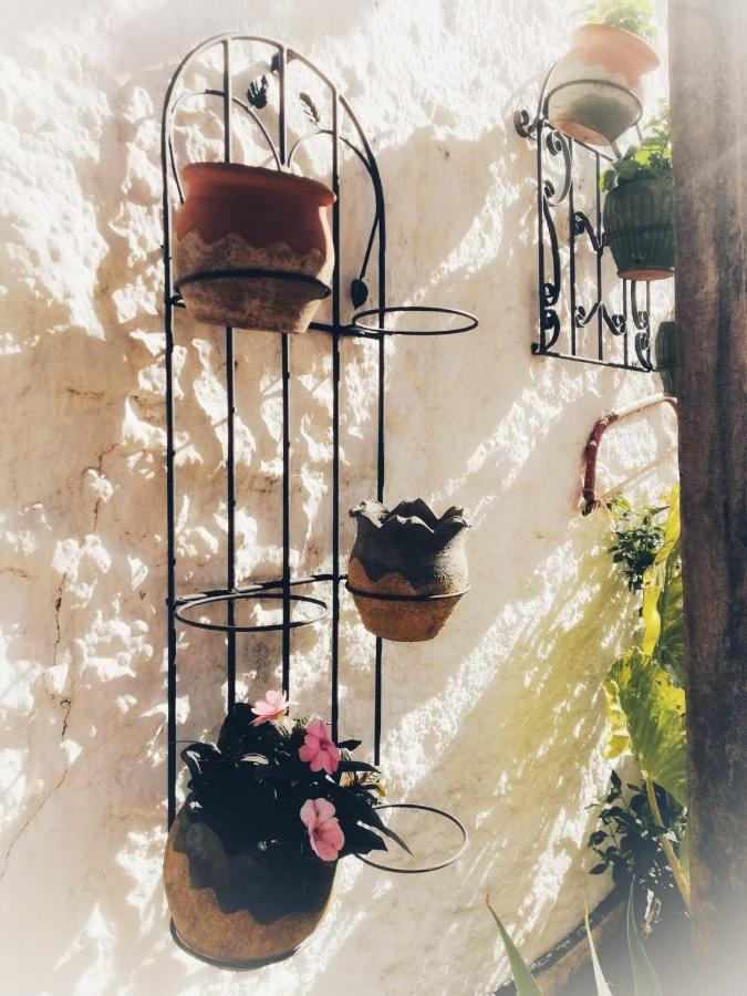 Casa Proyecto Pepe Bravo - Arte De Manos Y Corazon Bed & Breakfast *