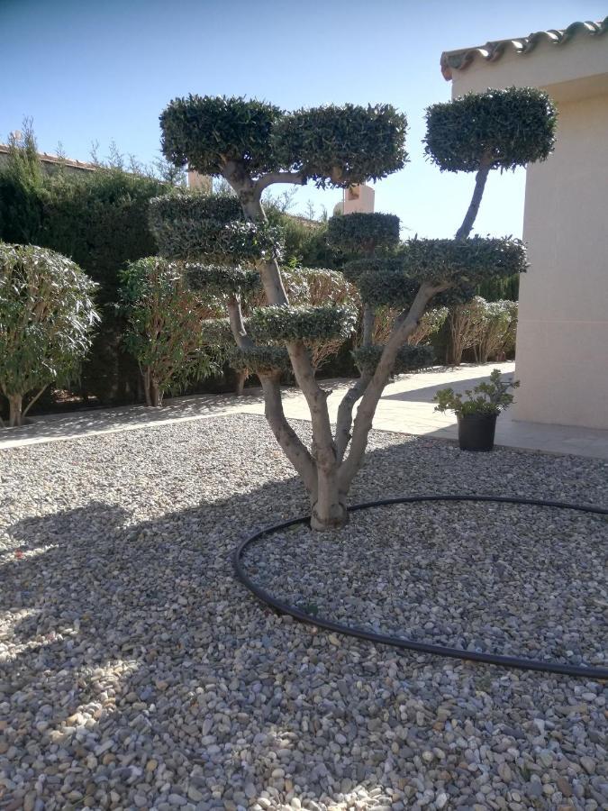 Casa La Rana