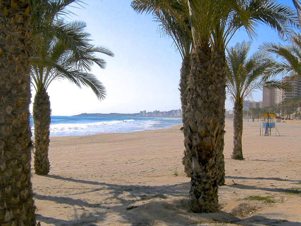 Estudio Playa Muchavista El Campello