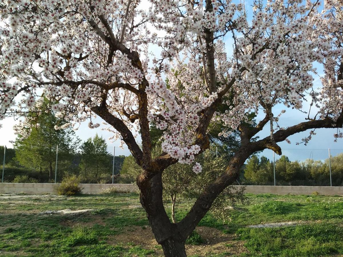 Country house La Contrada