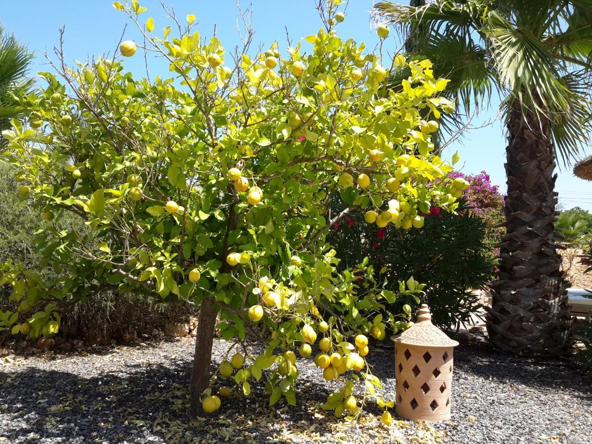 Сasa de vacaciones Alqueria Fosca Campos (Mallorca)