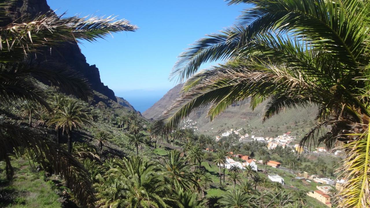 In Playa Calera - Swimming Pool Apartamento