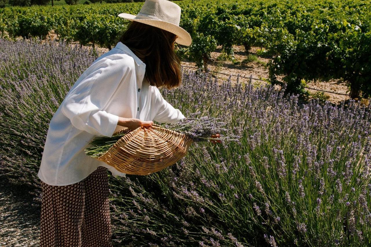 Abadia Retuerta Ledomaine