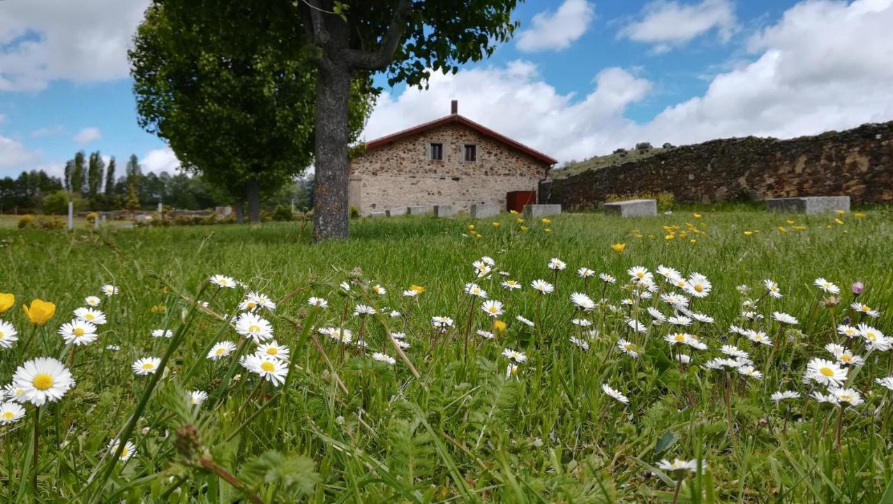 Izan Puerta De Gredos