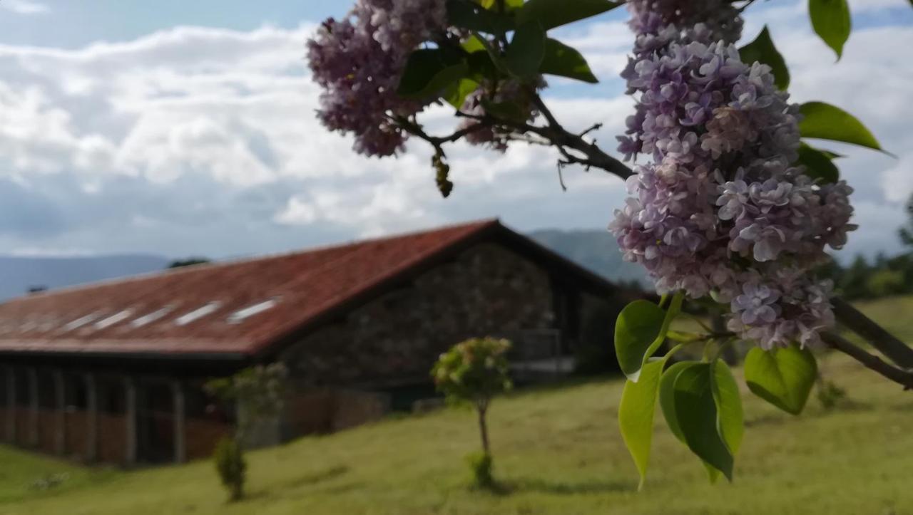 Izan Puerta De Gredos Hotel 4*