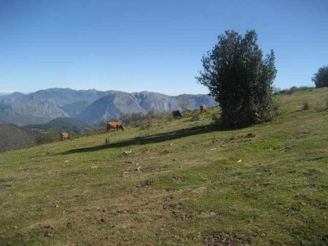 Apartment Valdecarzana Senda Del Oso *