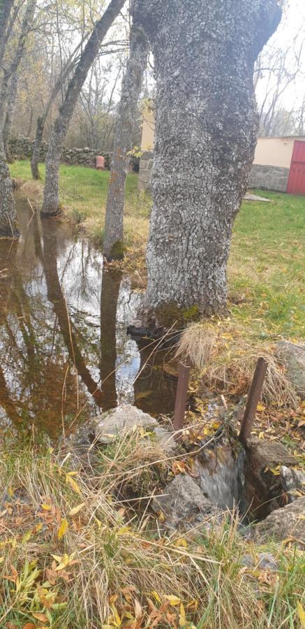 Exclusiva Casa Y Privada Itos * Pelayos del Arroyo