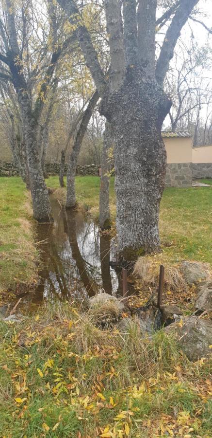 Exclusiva Casa Y Privada Itos Pelayos del Arroyo