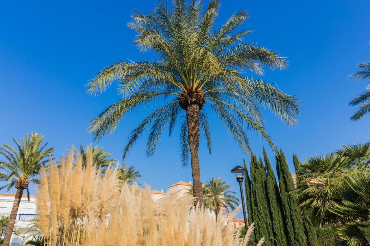 Apartamento Cala Blanca Beach Studio Dénia