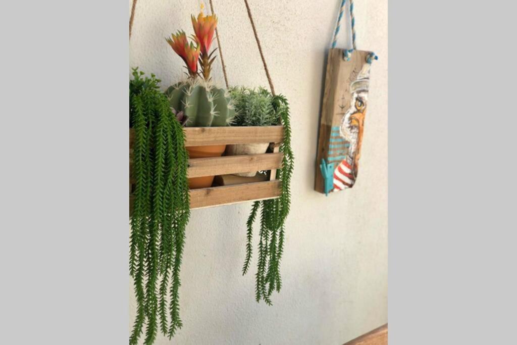 Apartamento Marea Fuerteventura Corralejo