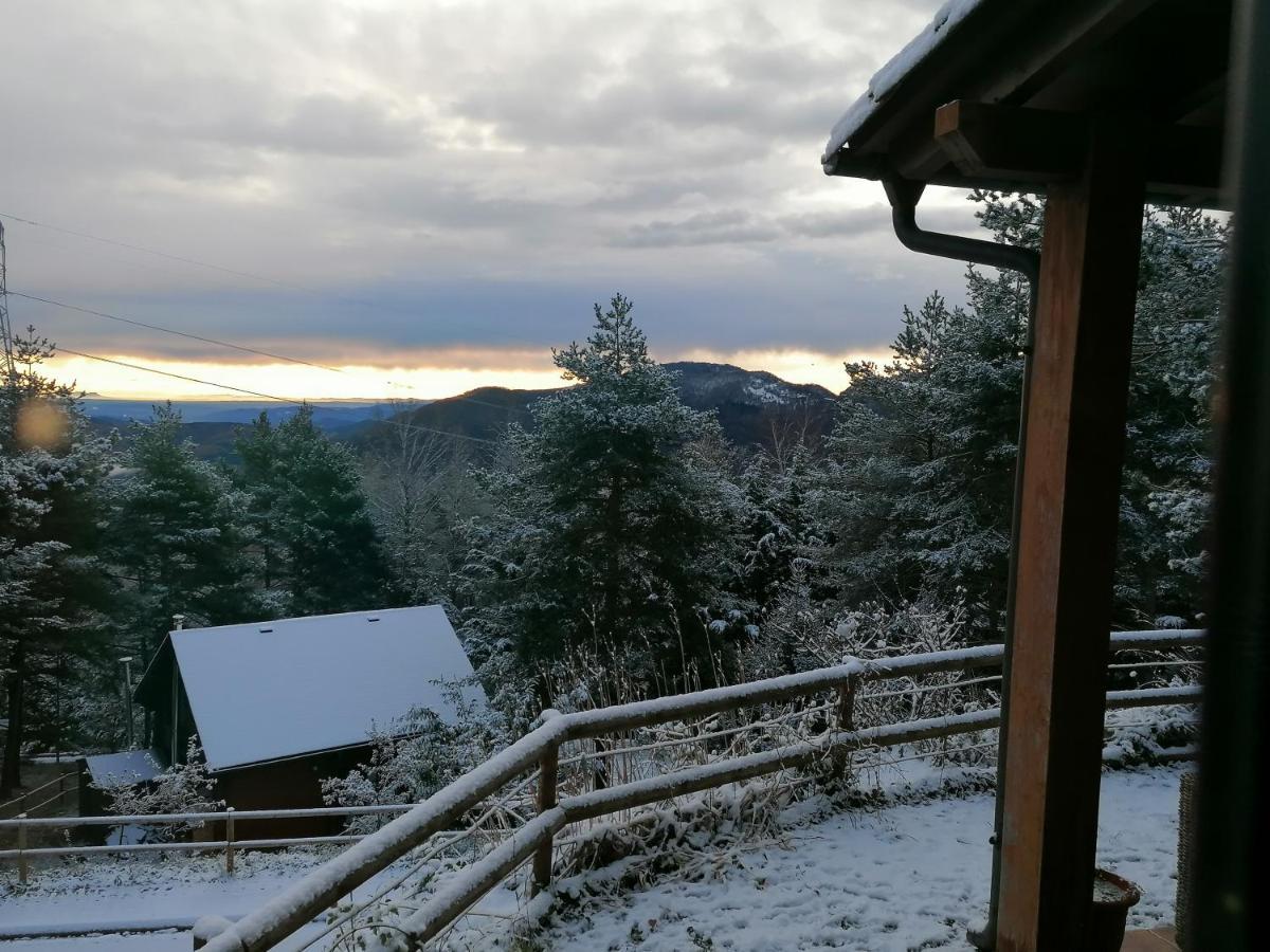 Holiday home Les Marmotes Camprodon