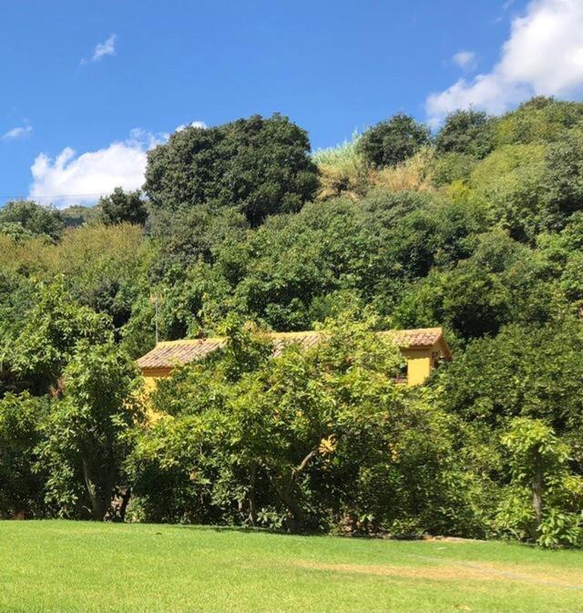Сasa de vacaciones El Capricho De Almadan Ojén