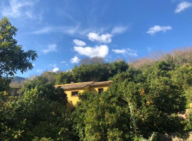 El Capricho De Almadan * Ojén