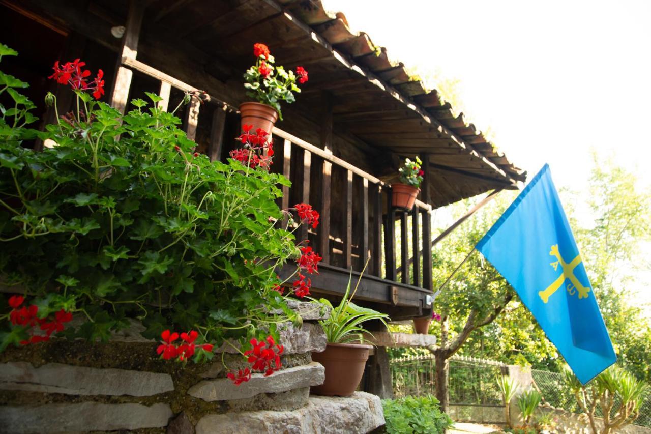 Apartamento El Roxu