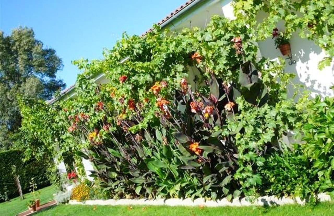 Villa Charming With Private Pool In La Calzada de Béjar