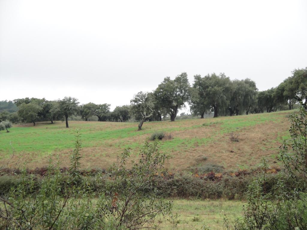 Casa Rural Sierra San Mamede La Codosera