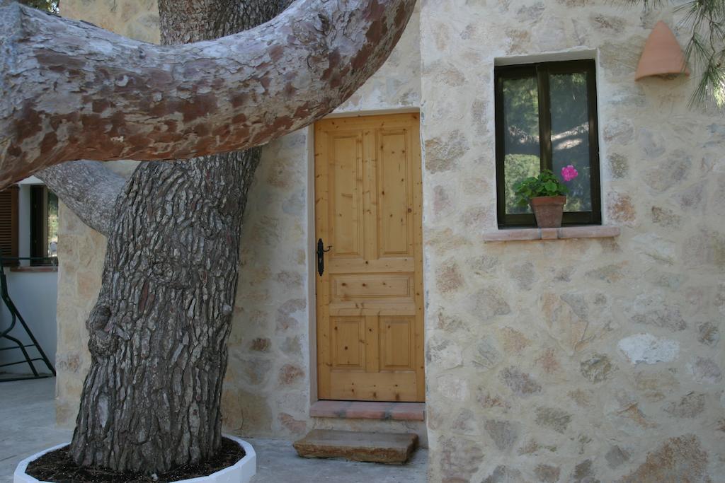 Hostel La Pergola