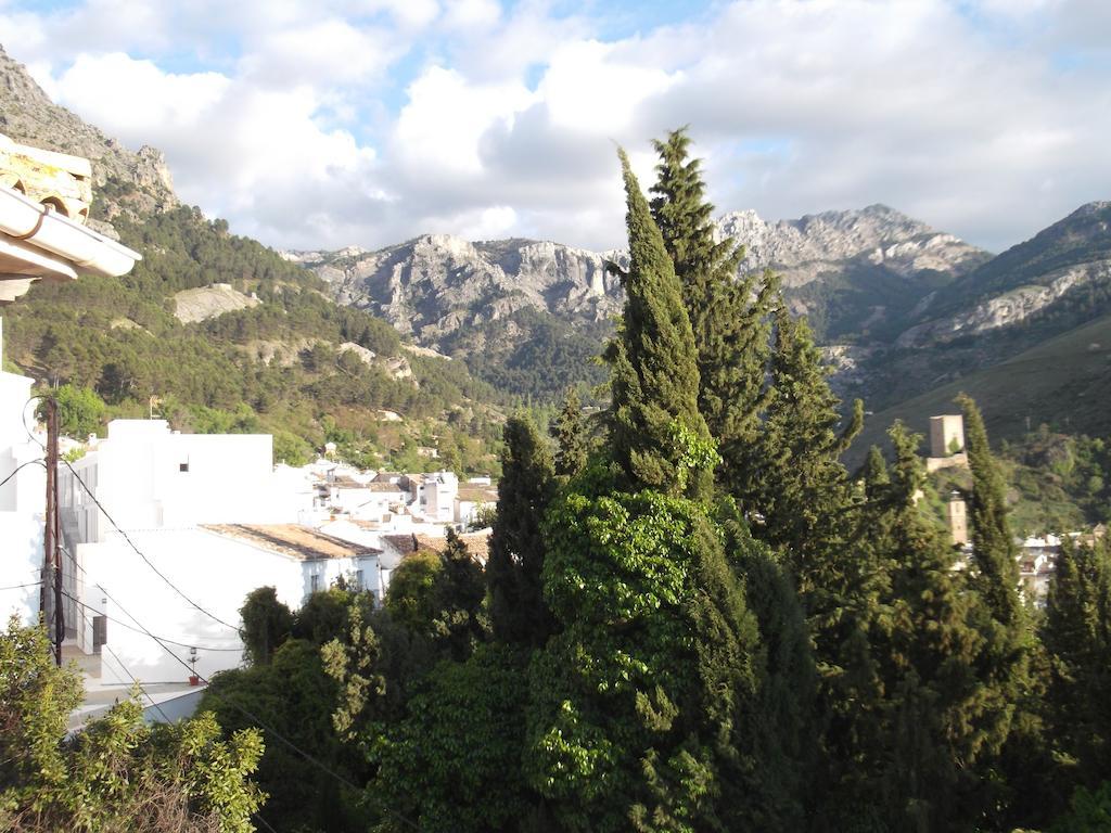 Apartamento Madrigal Cazorla