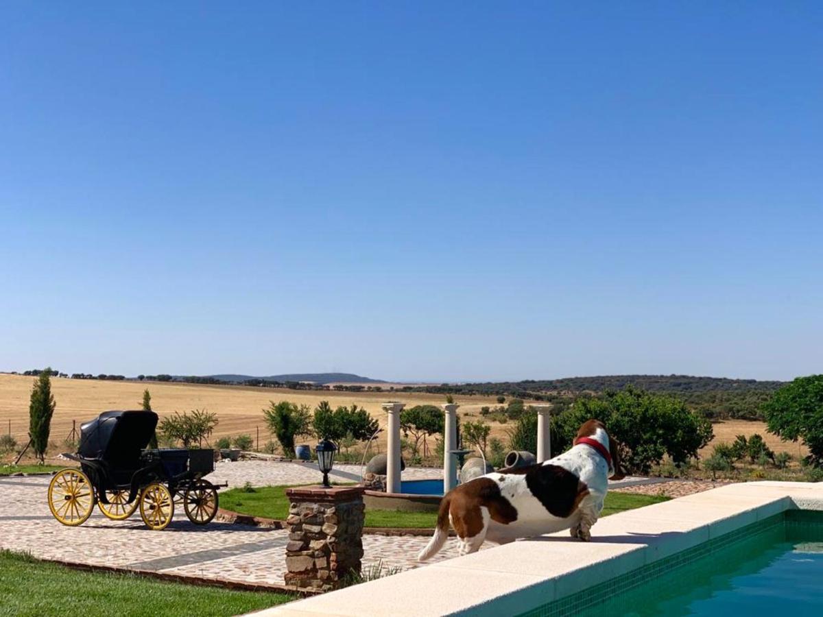 Charming In Fernan Caballero With Private Pool * Fernancaballero