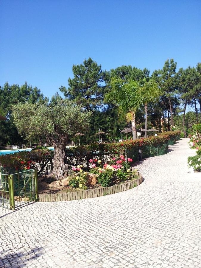 Welcoming House In Islantilla, Pool And Garden View.